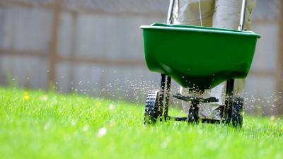 Fertilizing Lawn