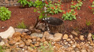 water pooled in a home rain garden