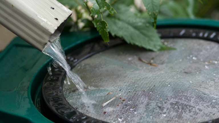 rain barrel close-up