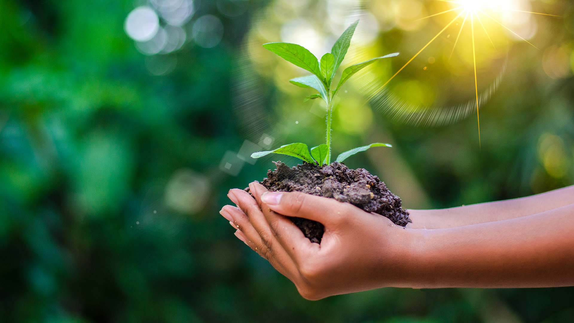 An Extra Special Earth Day - Garden Style San Antonio