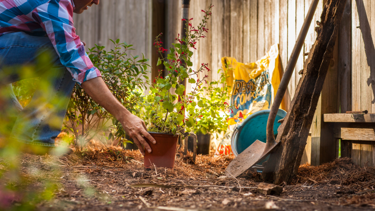 prepping garden landscape