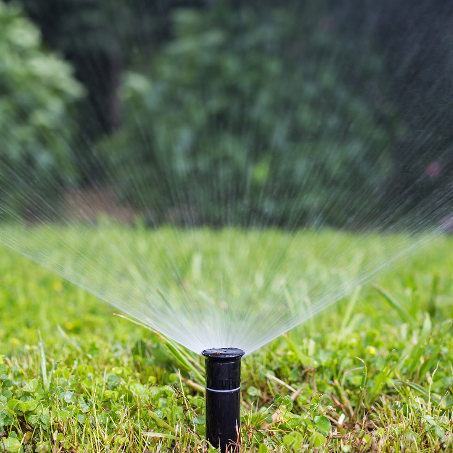 Rain control. Ирригация фон. Поливает газон и грустит. Irrigation Sprinkler Cotton. Sprinkler extinguishing красивые фотографии.