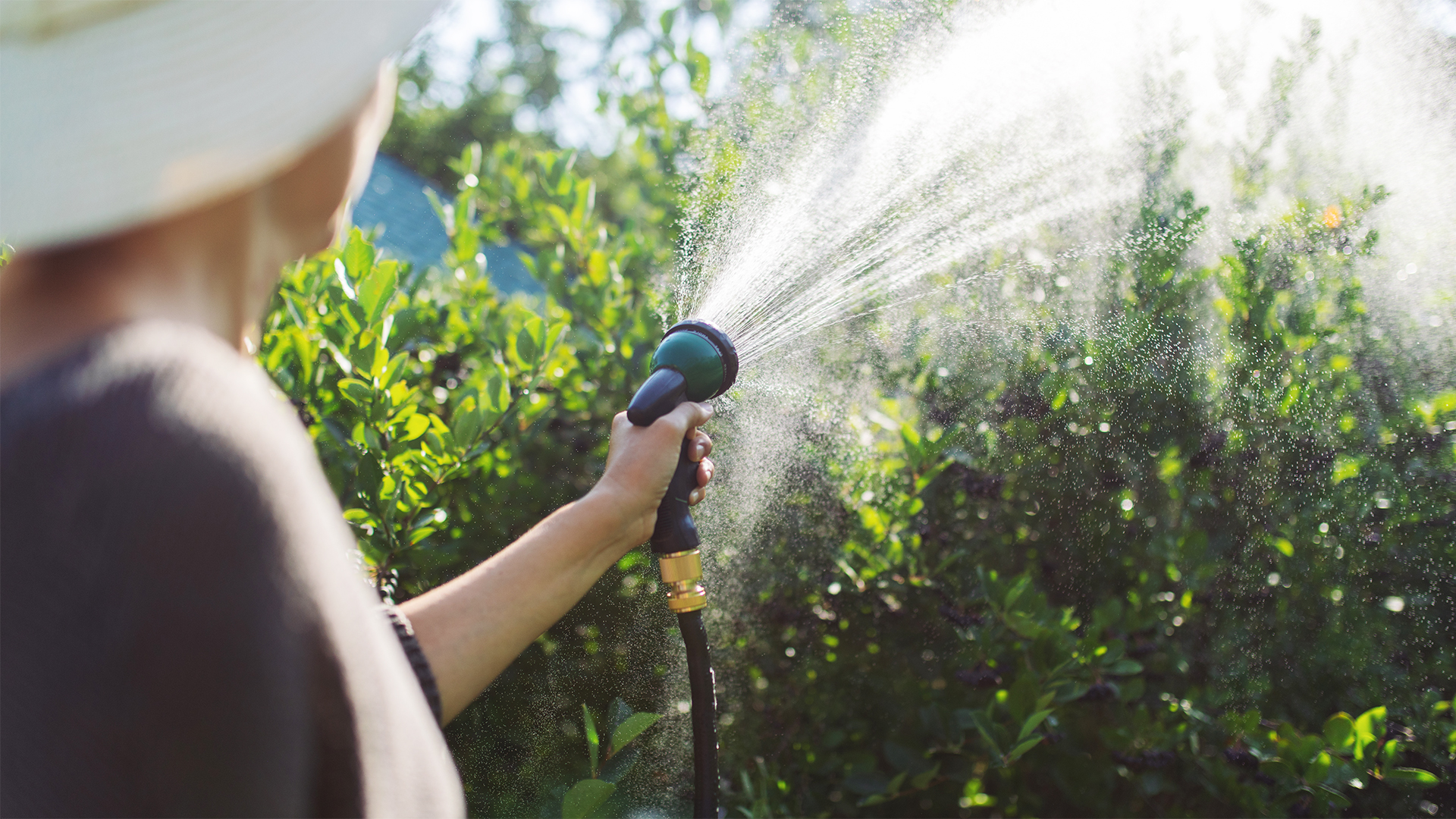 let-s-review-stage-2-watering-rules-garden-style-san-antonio