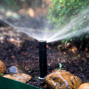 Sprinkler head in action