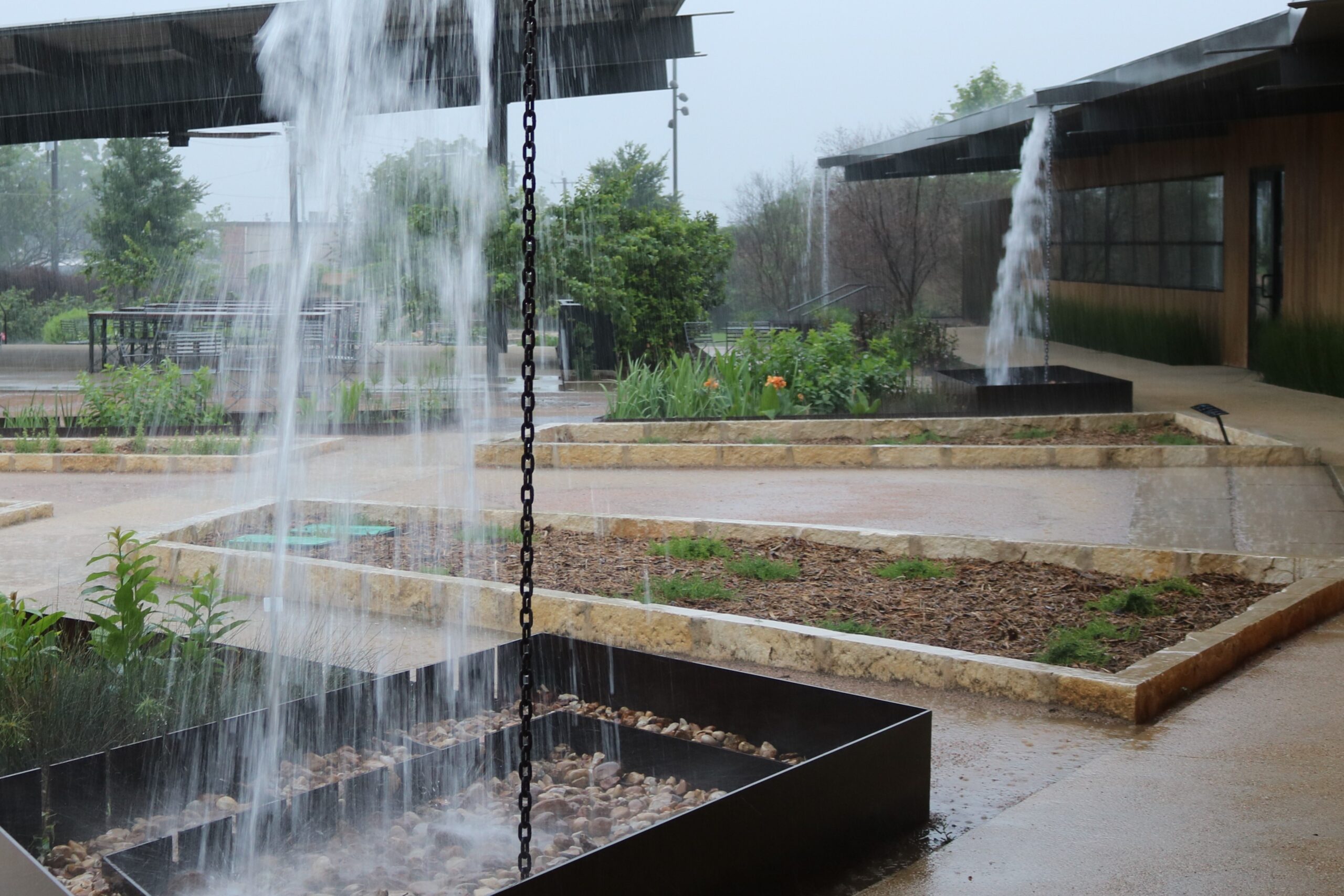 Rain chains with cascading water at San Antonio Botanical Garden