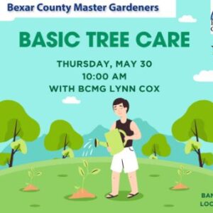 Banner for Basic Tree Care class