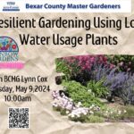 banner for Resilient Gardening Using Low Water Usage Plants