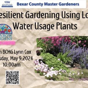 banner for Resilient Gardening Using Low Water Usage Plants