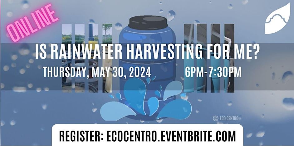 Banner for Eco Centro Is Rainwater Harvesting for Me