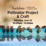 Banner for Mitchell Lake Pollinator Project