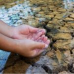 Hands immersed in water over a cracked clay soil