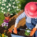 Gardener adding annuals to a patio container