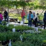 Customers and volunteers at plant sale in Botanical Gardens greenhouse area