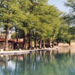 Green cypress trees reflected in an empty pool at San Pedro Springs Park in San Antonio, Texas