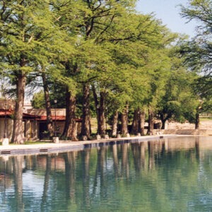 Green cypress trees reflected in an empty pool at San Pedro Springs Park in San Antonio, Texas