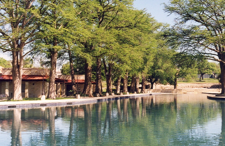 Green cypress trees reflected in an empty pool at San Pedro Springs Park in San Antonio, Texas