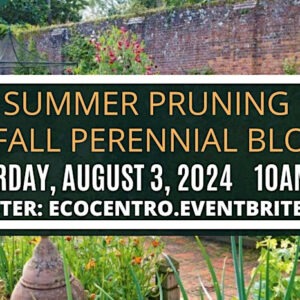 banner for Summer Pruning for Fall class