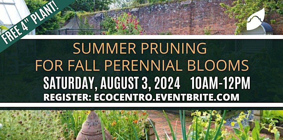 banner for Summer Pruning for Fall class