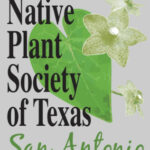 Logo for Native Plant Society with pearl milkweed vine