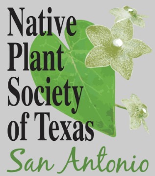 Logo for Native Plant Society with pearl milkweed vine