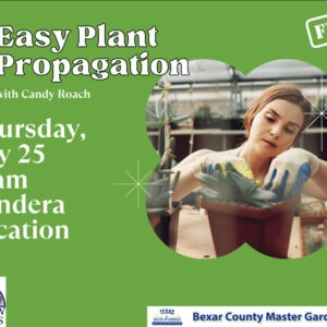 Banner for Easy Plant Propagation class