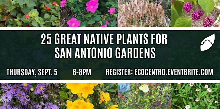 Banner for Eco Centro 25 Great Native Plants class