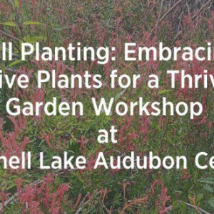 Banner for Fall Planting class at Mitchell Lake