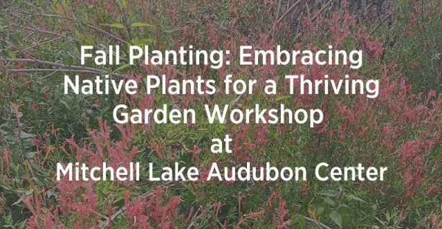 Banner for Fall Planting class at Mitchell Lake