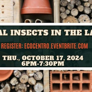 Banner for Eco Centro Beneficial Insects class