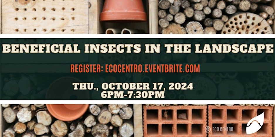 Banner for Eco Centro Beneficial Insects class