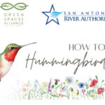 Banner for How to create a hummingbird haven