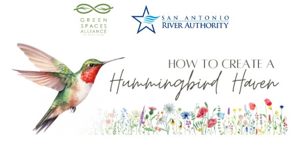 Banner for How to create a hummingbird haven