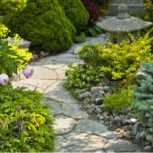 Pathway in a Japanese garden