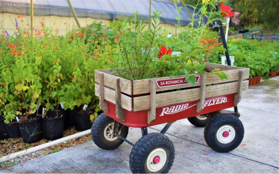 Radio flyer red wagon stuffed with watersaver plants