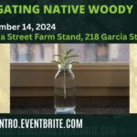 Banner for Eco Centro Propagating Native Woody Plants