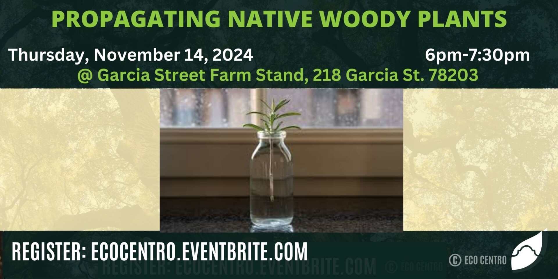 Banner for Eco Centro Propagating Native Woody Plants