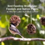 Banner for Bird Feeding Workshop