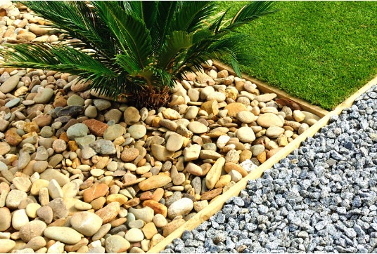 Sago palm planted with river rock and black beach pebbles