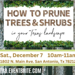 How to Prune Trees and Shrubs banner