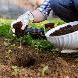 composting