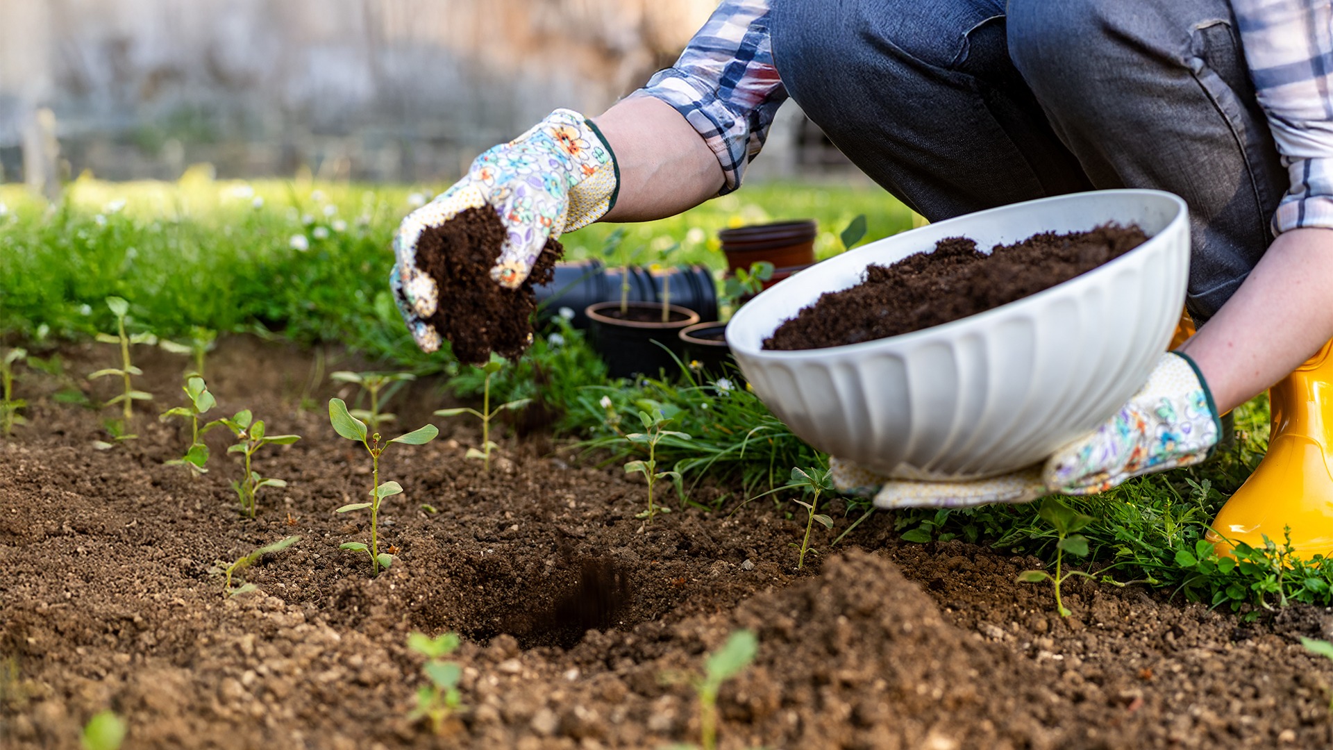 composting