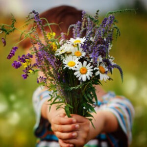 Child holding a bundle of daisies and sage flowers in a field