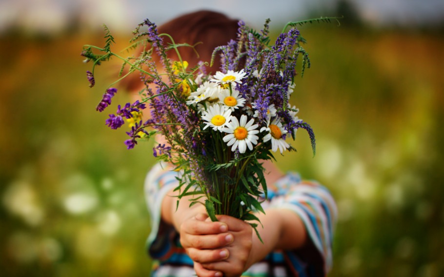 Child holding a bundle of daisies and sage flowers in a field