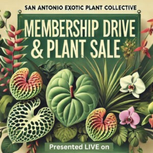 Banner for exotic plant collective plant sale.