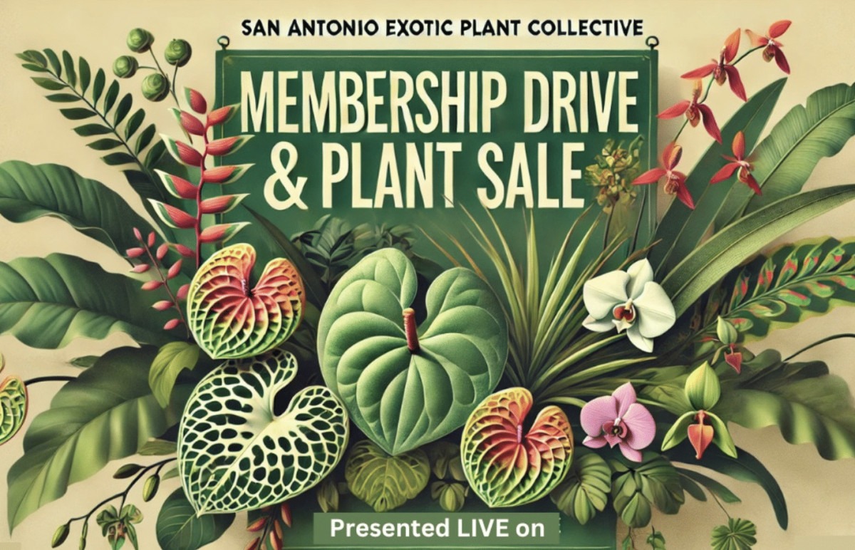 Banner for exotic plant collective plant sale.