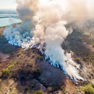 Overhead view of smoke from a prescribed burn underway at Mitchell Lake Audubon Center