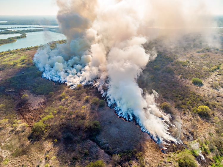 Overhead view of smoke from a prescribed burn underway at Mitchell Lake Audubon Center