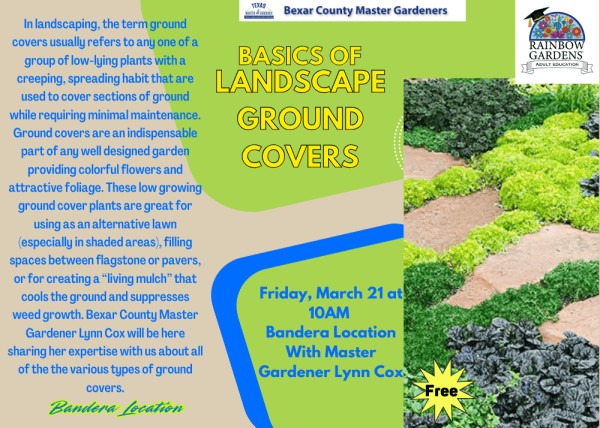 Banner for Basics of Groundcovers.