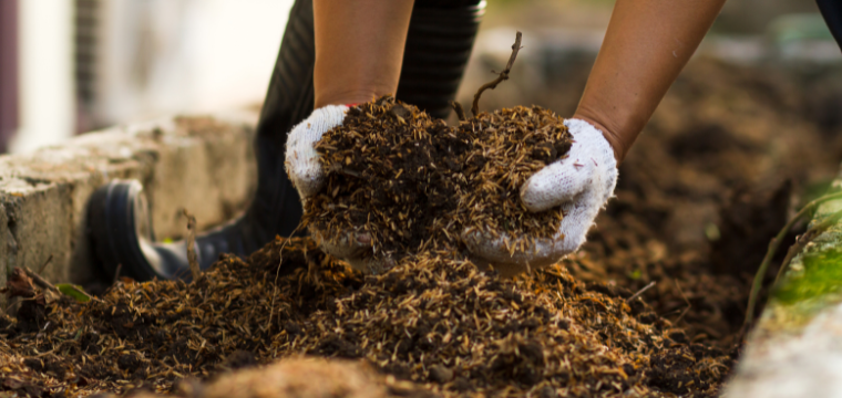 Gloved hands placing mulch in a garden bed