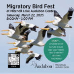 Banner for Mitchell Lake Audubon Center 2025 Migratory Bird Fest